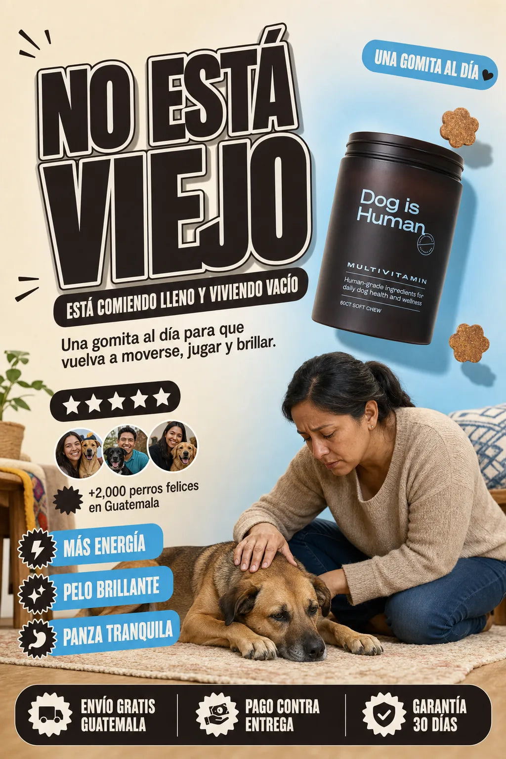 Dog is Human — hero